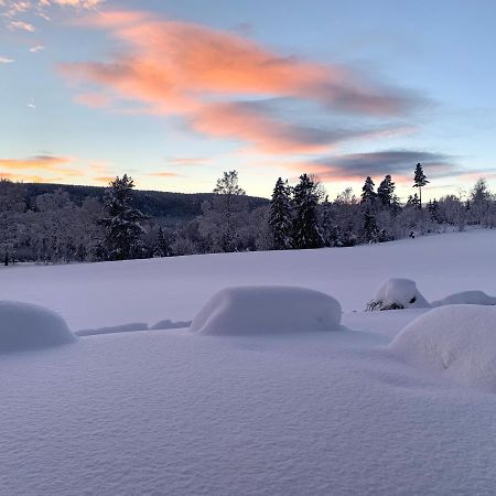 Eika Cottage: Cozy, Rural, Spacious And Well-Equiped Amot  Exteriör bild