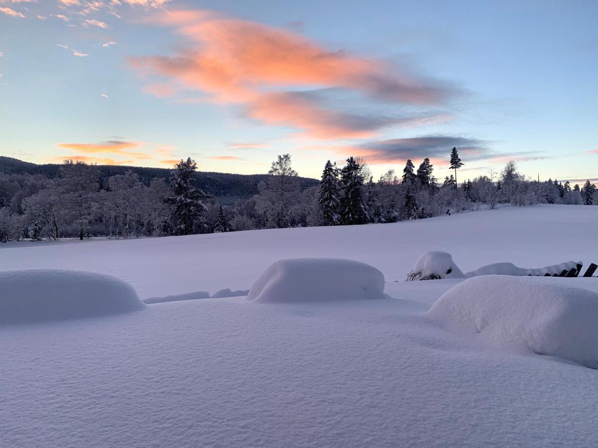 Eika Cottage: Cozy, Rural, Spacious And Well-Equiped Amot  Exteriör bild